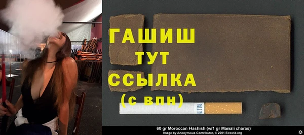 spice Богородицк