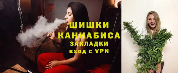 spice Богородицк