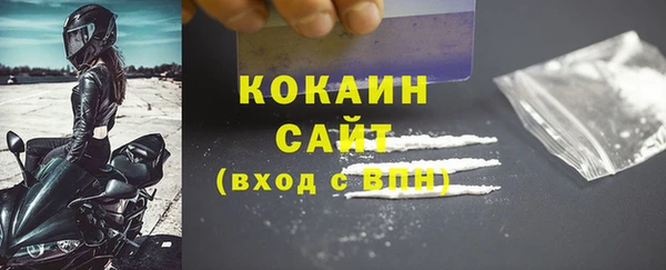 spice Богородицк