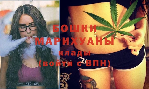 spice Богородицк