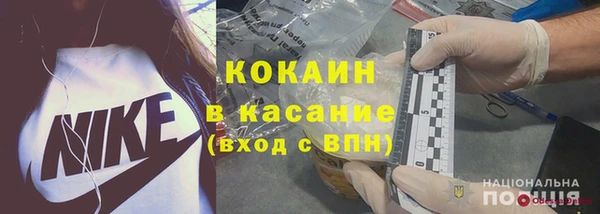 spice Богородицк