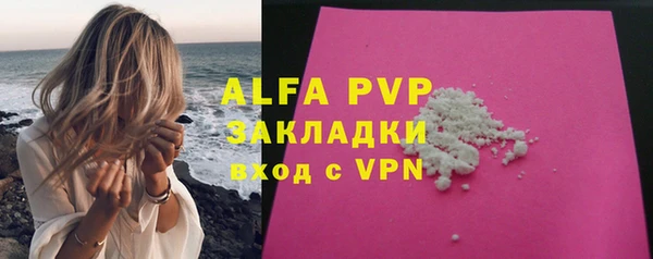 метадон Богданович