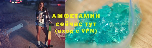 метадон Богданович