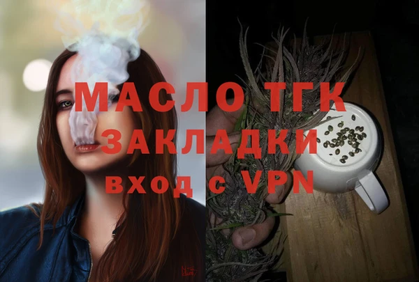 spice Богородицк