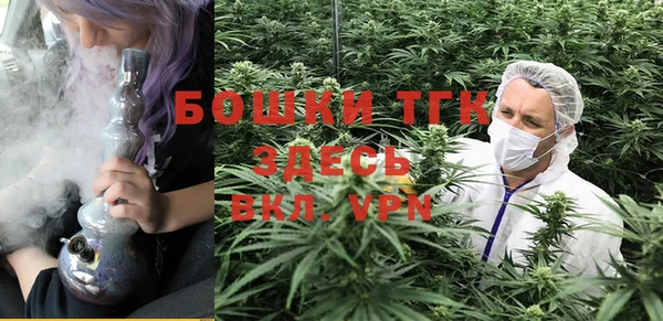 spice Богородицк