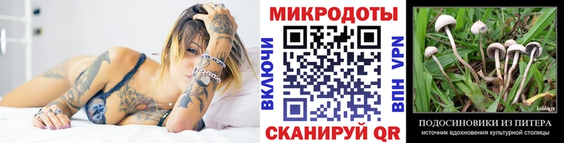 где найти   гидра рабочий сайт  Псилоцибиновые грибы мицелий  Дагестанские Огни 